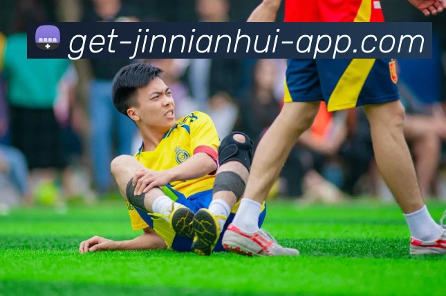 今年会官网平台生态图